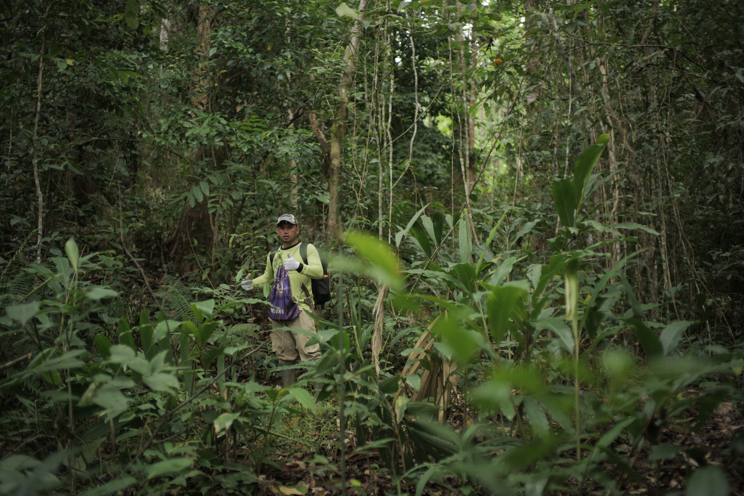 rehab DAS Bombana - patroli hutan