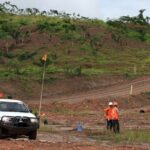 Lahan pasca-tambang yang direhabilitasi menjadi hutan produktif.