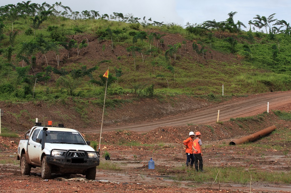 Lahan pasca-tambang yang direhabilitasi menjadi hutan produktif.