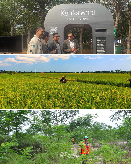 Kolase proyek rekayasa lingkungan: penangkap karbon mikroalga kota, pertanian ramah lingkungan pedesaan, dan rehabilitasi lahan bekas tambang pedalaman