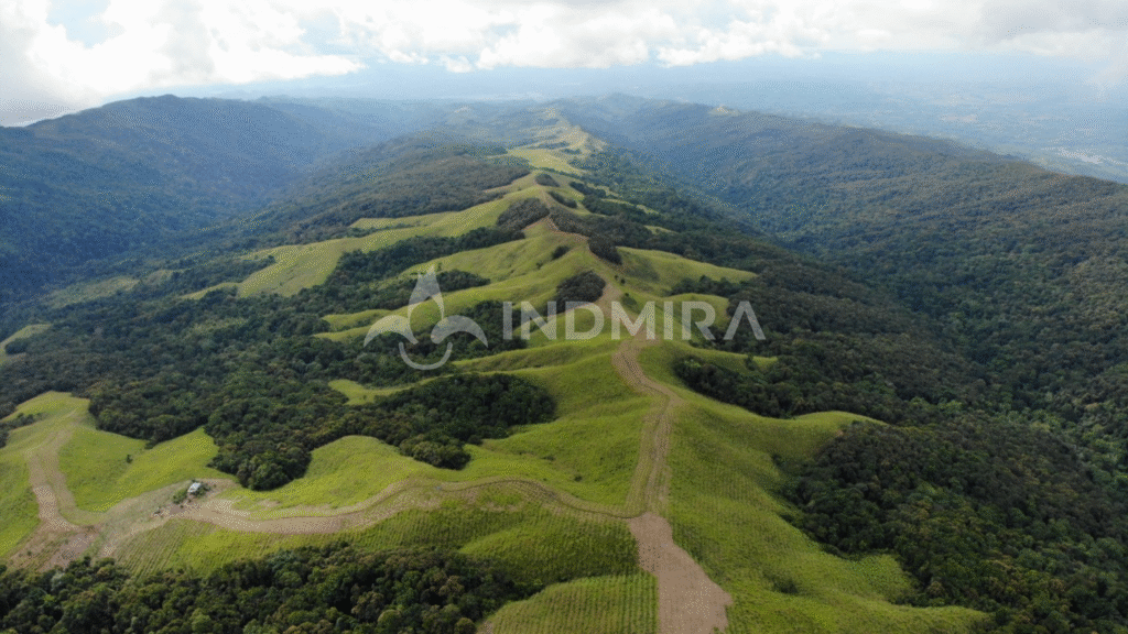 Foto drone memperlihatkan area luas proyek jasa rehabilitasi DAS dan jasa rehabilitasi lahan kompensasi yang hijau dan subur, dikelola oleh kontraktor profesional INDMIRA.