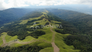 Foto drone memperlihatkan area luas proyek jasa rehabilitasi DAS dan jasa rehabilitasi lahan kompensasi yang hijau dan subur, dikelola oleh kontraktor profesional INDMIRA.