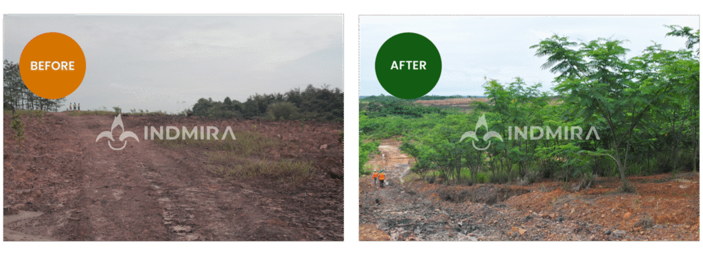 Perbandingan before after reklamasi dan rehabilitasi lahan bekas tambang: sisi kiri menunjukkan lahan tandus ('tanah mati') dan sisi kanan menunjukkan keberhasilan revegetasi dengan pohon rimbun menggunakan strategi biostimulan yang efisien.
